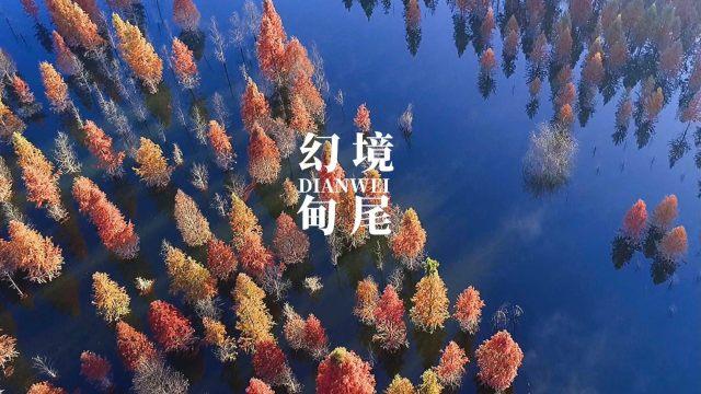 超魔晶猎人